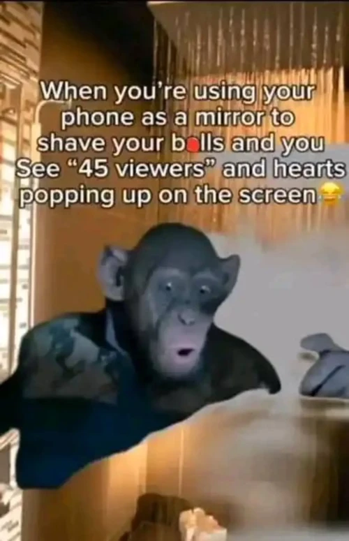 45a9e15dfae09304e7f0ed08a85a8506.webp