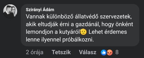 461b622c8d507e12e866a06db8364e5e.jpg
