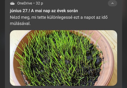 c2fe24fb4a4603f046d90d1de2fd5110.jpg