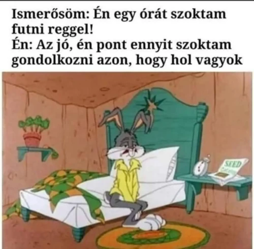 ec0e5dc9d2ce096b067a0d0501f56554.webp